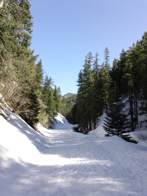 Mill Creek Canyon